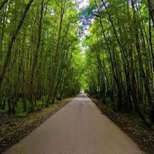  رو آرزوهام خالی کردی خشاب گفتم واسه دلت میشم تروریست